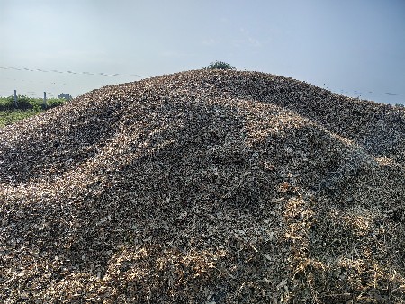 માંડવી નો ભૂકો વેચવાનો છે