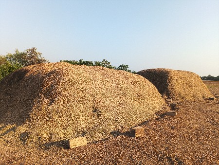મોગોટુ વેચવા નું છે