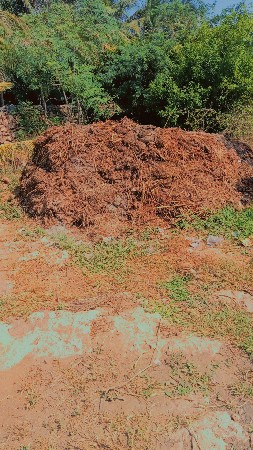 છાણીયું ખાતર