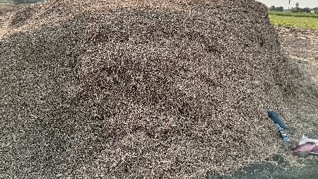 માનવીનો ભૂકો વેચવાનો સે