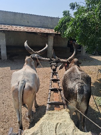 પુરા