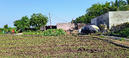 🌾 જમીન વેચવાની છે🌾