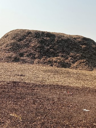 પાંદળી વાળો પાલો વેચવા નો છે