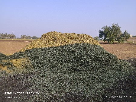માંડવી નો ભૂકો વેચવાનું છે