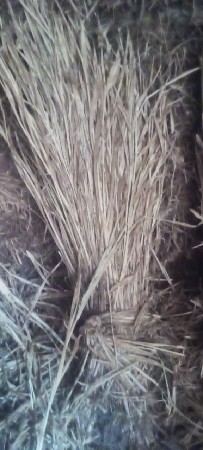સાર