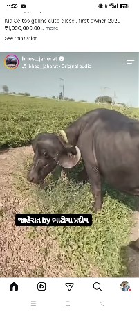 વેચવાની છે