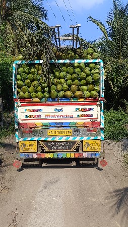 કોઈ ભાઈ ને તો રોપા દેવા હોય તો લેવા