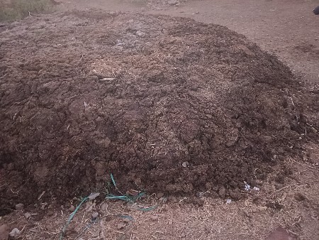 છાણીયું ખાતર વેચવાનું છે