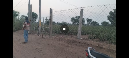 35 vigha Gayakwadi Full pani