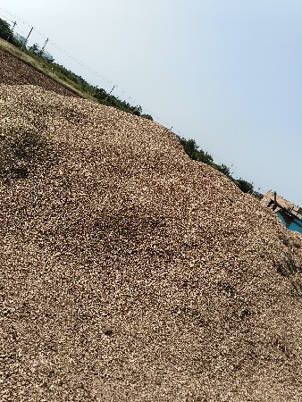 માંડવિયું વેચવાનું છે