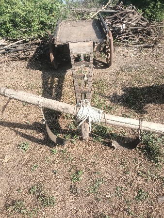 બળદ ગાડું વેચવાનું છે