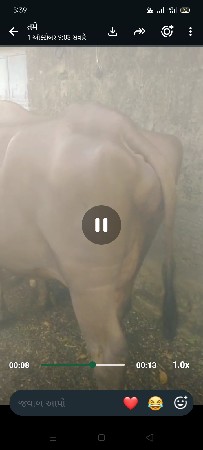 પેલું વેચવાની છે