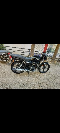 મોડલ 2021