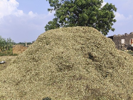 માંડવિ નુ સારો 9.5 વિઘા નો
