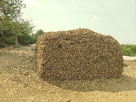 મગફળી નો ભૂકો