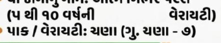 ચણા