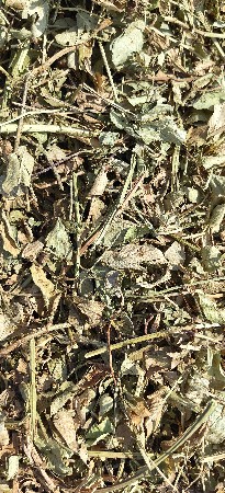મગફળી નો નવો પાલો