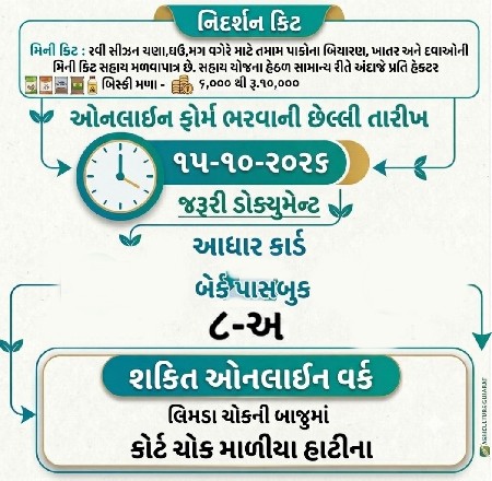60 જારીની રાત નવી નવી વેચવાની છે