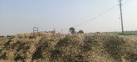 20 વિઘા નું જી20 નો ભૂકો