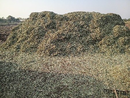 12 વીધા પાલો વેચવાનો