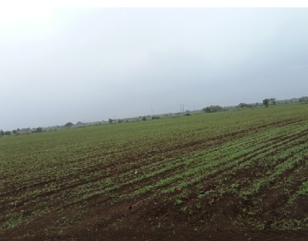આ જમીન વેચવાની છે