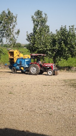 વૃંદાવન થ્રેસર વેચવાનું છે