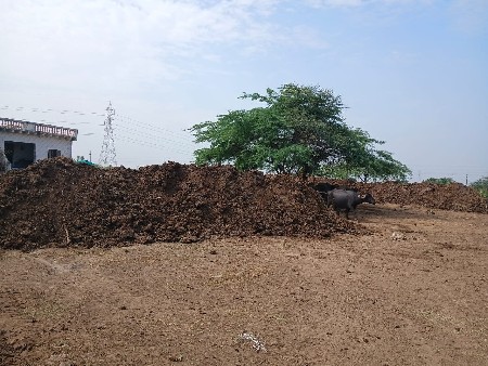 આ ખાતર વેસવાનુ છે