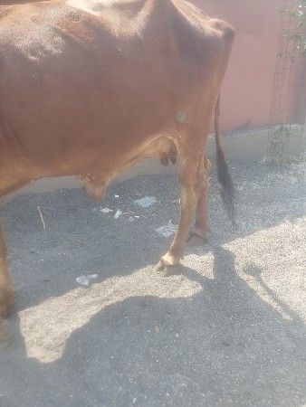 ગામ જસદણ જીલ્લો રાજકોટ