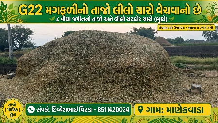 મગફળી G22 નો ચારો વહેંચવાનો છે.