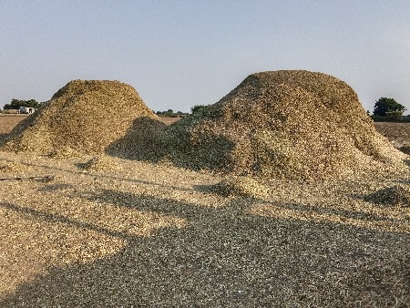 મગફળી નો પાલો વેચવાનો છે