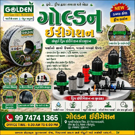 ગોલ્ડન ડ્રીપ લાઈન