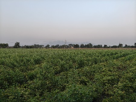 નવાગામ (મહોબતપુર)