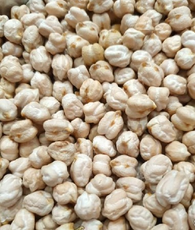 1 નંબર ચણા બિયારણ