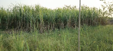 શીરડી વેચવાની છે