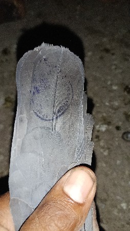 કબૂતર વેચવાના છે