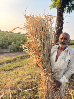 નીર વેચવાની છે શાર પુરા