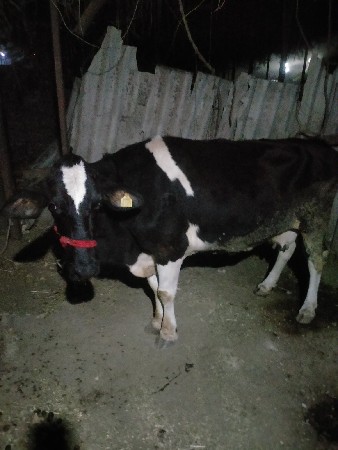 વેચવાની છે
