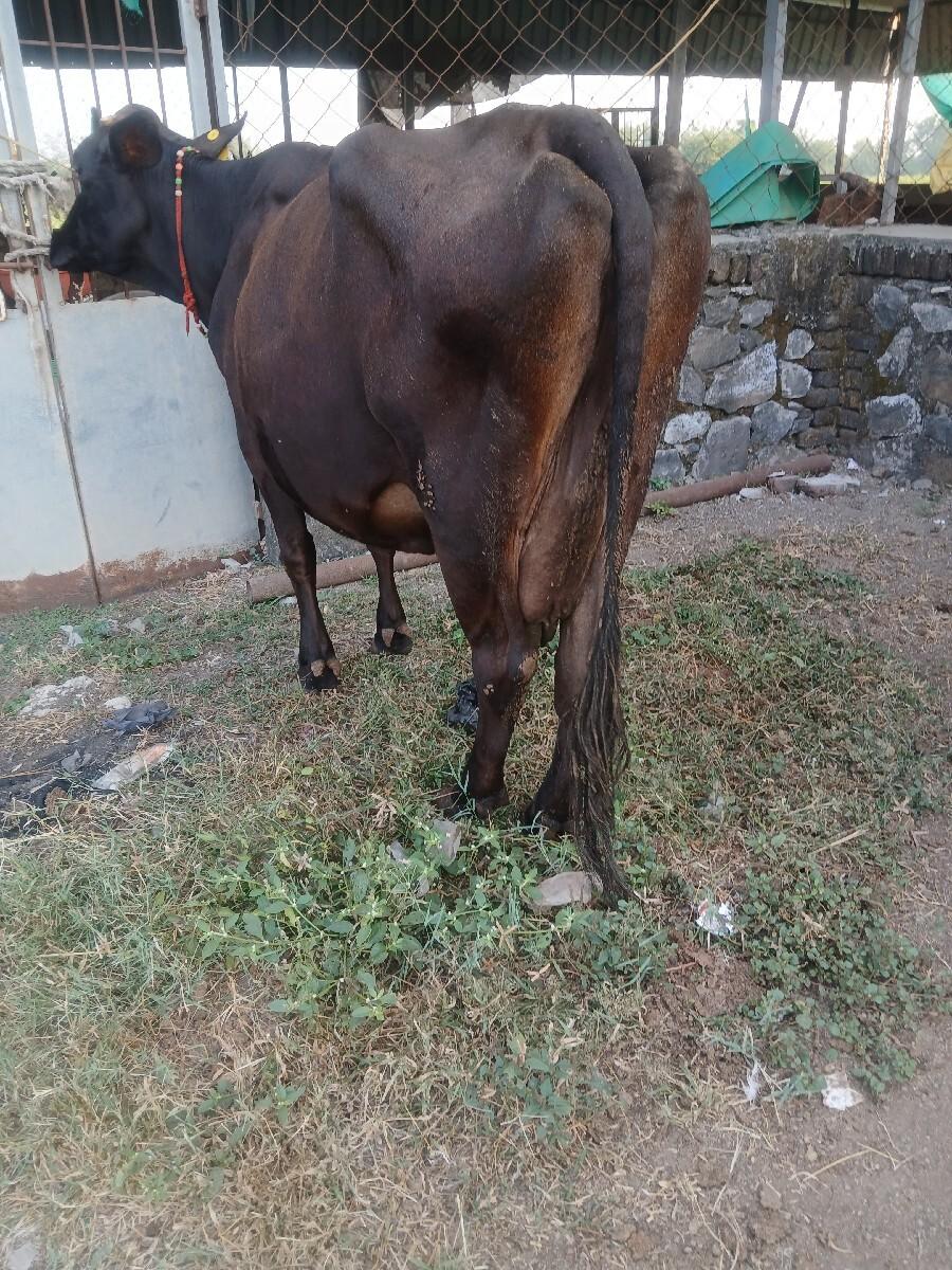 વેચવાની છે