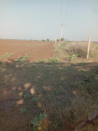 જમીન વેચવા ની છે