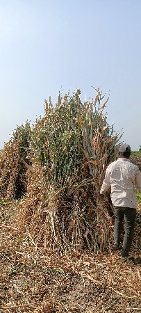 સાર