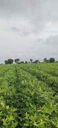 દ્વારકા જામખમંભાડીયા રાજકોટ હાઇવે