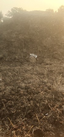 દેશી ખાતરી વેચવાનું છે