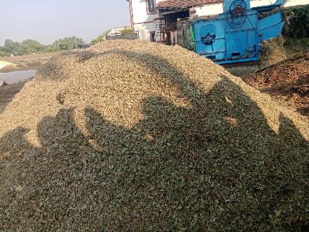 નવો પાલો વેચવાનો છે.
