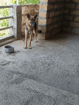વેચવાનું છે