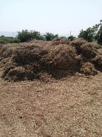 12 vigha girnar4 navo bhuko