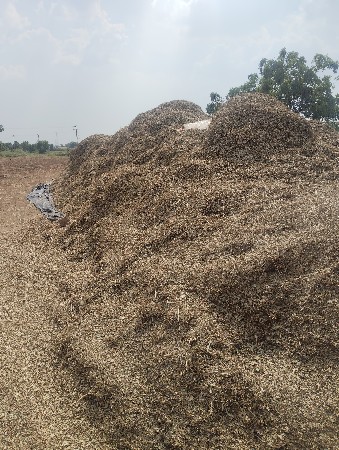 જી 22 નંબર મગફળી નો ભૂકો વેચવાનો