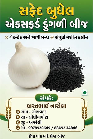 સફેદ ડુંગળીનું બીજ  બુધેલ એક્સપોર્