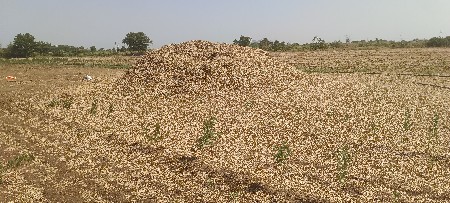37 નંબર  મગફળી નો ભૂકો