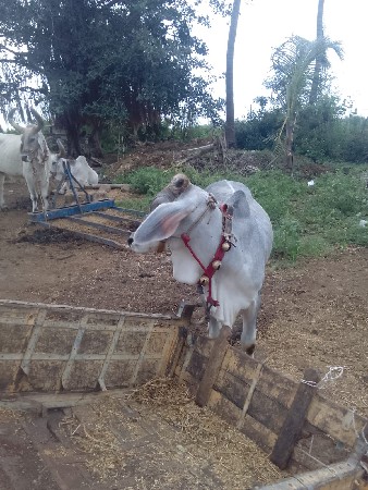 અને જોડ કરવાની છે