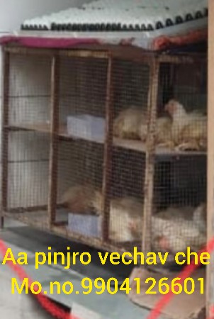 મરઘા નું બીજું અને લાકડું વેચવાનું